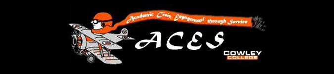 aces logo