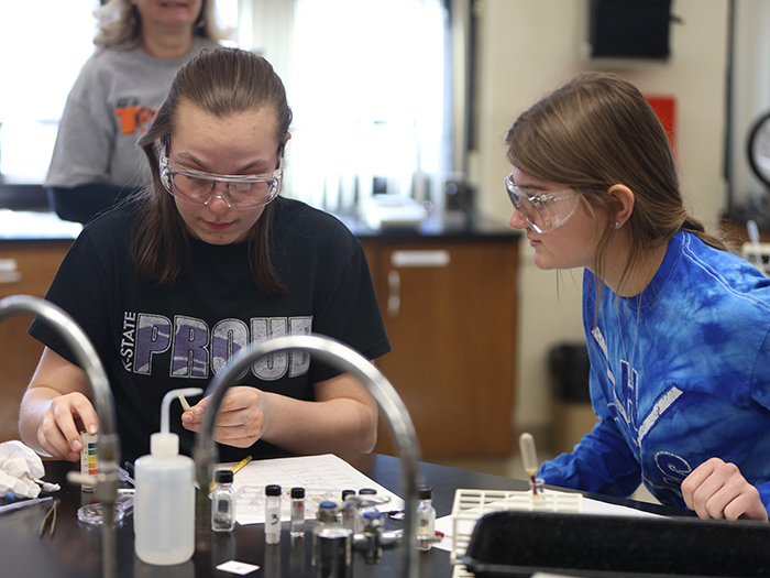 Math and Science Day event